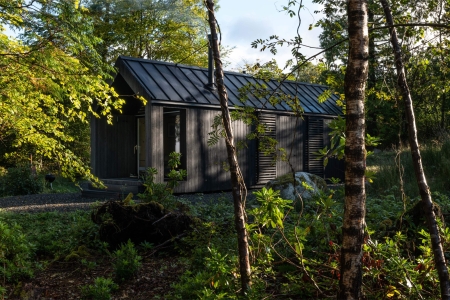 A dark timber cabin with a pitched metal roof stands among ferns and birch trees.